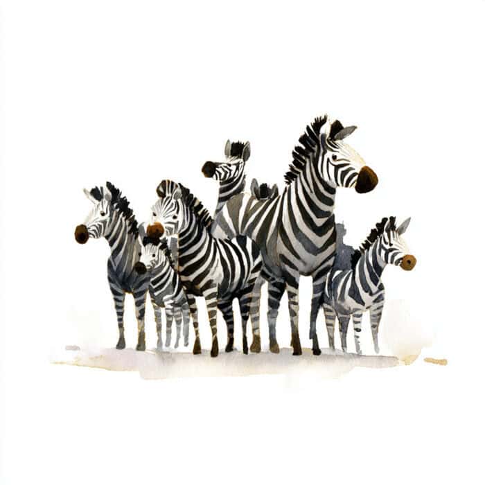 Pohádka pro děti - Pohádka o zebrách, které si počítaly pruhy